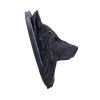 Dark Gothic Magical Wolf Moon Wall Hanging Plaque – billede 7