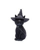Spook Witches Familiar Black Cat and Bubbling Cauldron Figurine