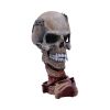 Metallica Pushead Skull 23.5cm – billede 5