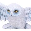 Harry Potter Hedwig Owl Wall Plaque 45cm – billede 3