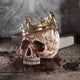 James Ryman Infernal Skull 20cm