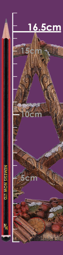 Winter Decorative Pentagram Ornament