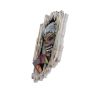 Iron Maiden Killers Wall Plaque 30.5cm – billede 7