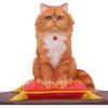 Mad About Cats Box by Lisa Parker – billede 4