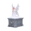 Only Love Remains Box (AS) 20.3cm – billede 8