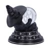 Purrah's Fortune 12.2cm