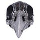 Quoth The Raven 20.2cm