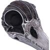 Quoth The Raven 20.2cm