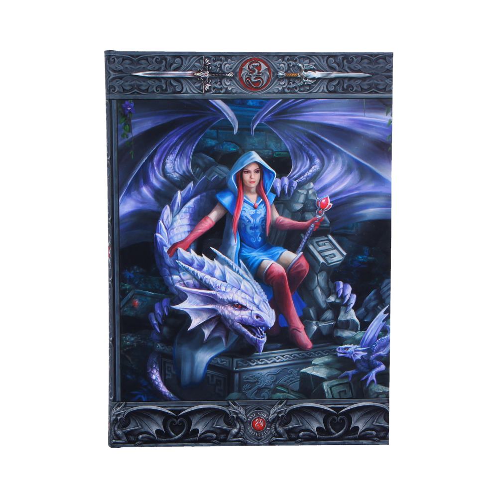 Dragon Mage Journal (AS) 17cm