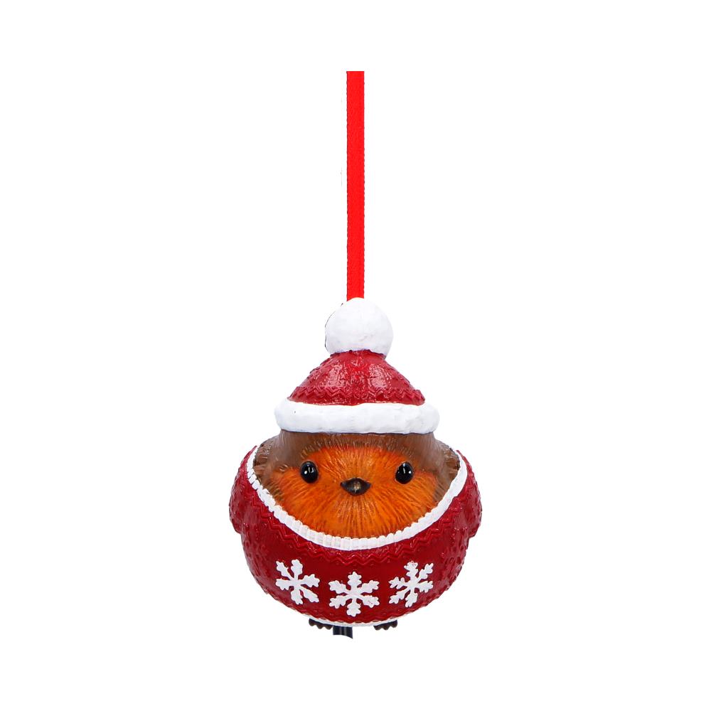Robin Winter Warmth Hanging Ornament
