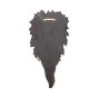 Tree Spirit Wall Plaque All Seeing Oak 29cm
