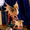 Adult Desert Dragon Figurine By Anne Stokes 24.5cm – billede 6