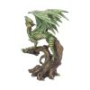 Adult Forest Dragon Figurine By Anne Stokes 25.5cm – billede 4