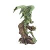 Adult Forest Dragon Figurine By Anne Stokes 25.5cm – billede 5