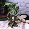 Adult Forest Dragon Figurine By Anne Stokes 25.5cm – billede 6
