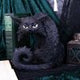 Witches Familiar Spite Candlestick Holder 18.5cm