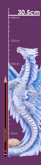 Anne Stokes Age of Dragons Adult Silver Dragon Figurine