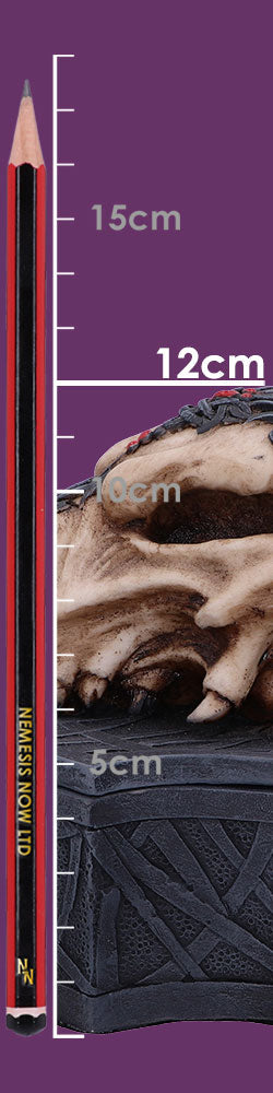 Dragon Skull Box (Monte Moore) 17.7cm