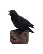 Quoth The Raven 20.2cm