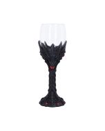 Draconis Arcanum 25cm