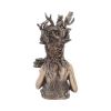 Bronzed Mother Earth Gaia Bust 26cm – billede 4