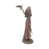 Morrigan and Crow Figurine Bronze Ornament – billede 6