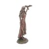 Morrigan and Crow Figurine Bronze Ornament – billede 7