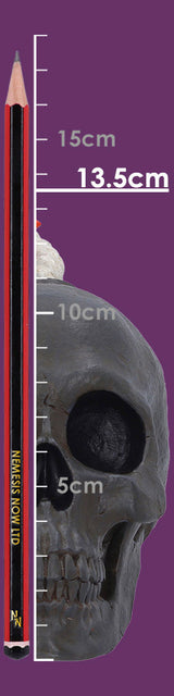 Mind Blown 14.7cm