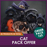 Magic Mirror Cat Figurine 21cm