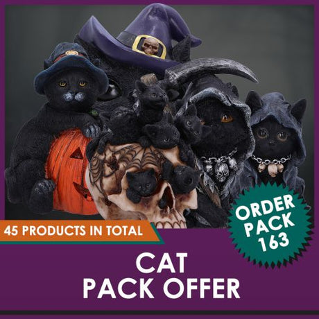 Cat Pack Offer