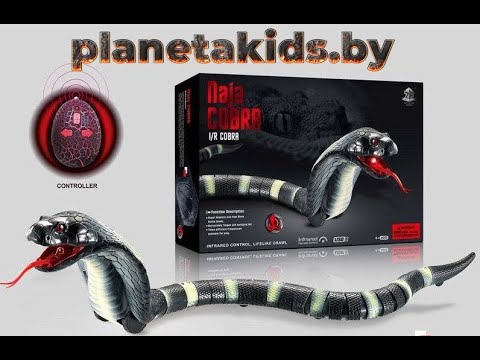 Naja Cobra Slange