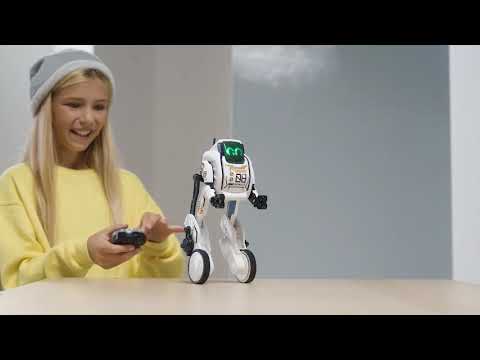 Silverlit Robo Up