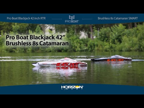 Blackjack 42-inch Brushless 8S Cat,WHT/RED:RTR