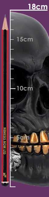 Black Rose from the Dead Skull 15cm