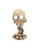 Aged Pentagram Skull 18.8cm