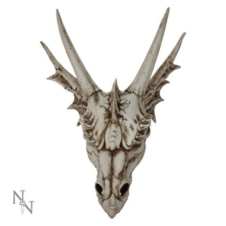 The Last Dragon Skull Realistic Reptile Skeleton Head