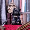 Cat Pack Offer