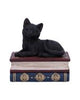 Hex and Flex Humorous Gothic Black Cat Figurine