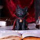 Familiar Trio Cat Tea Light Holder 10cm