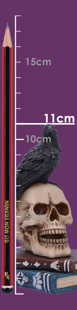 Raven's Spell Figurine 10.3cm