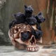 Bewitching Witch Cat Figurine 18.5cm