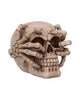 Electro (Small) (Pack of 6 )