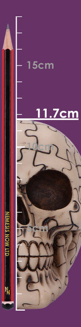 Puzzled Skull 11.7cm