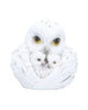 Coralscale Hatchling Dragon Figurines Set of 3 9cm