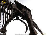 Jurassic World ECC Elite Creature Line Statue 1/12 Triceratops Fossil Skeleton Bronze 33 cm