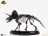 Jurassic Park Statue 1/24 Triceratops Fossil Skeleton Bronze 35 cm