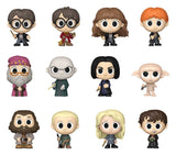 Harry Potter Mystery Mini Figures 5 cm Display (12)
