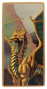 Dungeons & Dragons Ingot Set Magnet Warrior Limited Edition