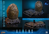 Alien Movie Masterpiece Action Figure 1/6 Alien Warrior (Deluxe Version) 39 cm