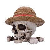 One Piece Storage Box Luffy Jolly Roger
